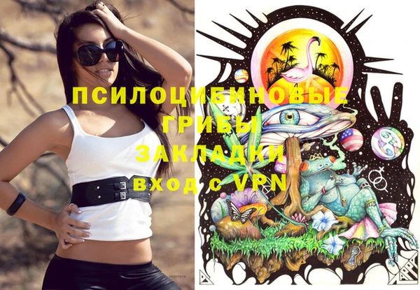 ALPHA PVP Алексеевка