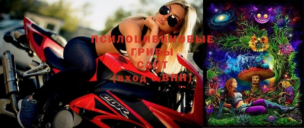 эйфоретик Алексин