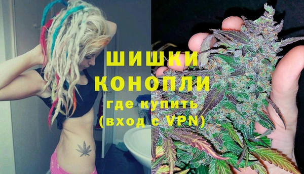 шишки Рославль