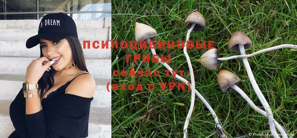 mdpv Алзамай